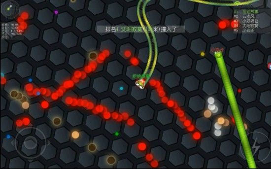 梦之谜语，解析梦见像蛇一样的虫子的深层含义与心理暗示