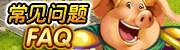 常见问题